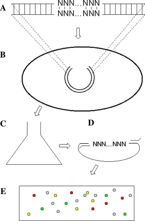 Fig. 4