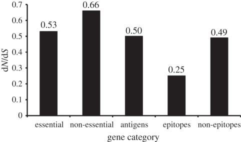 Figure 5.