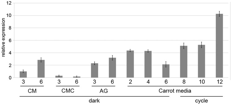 Figure 7