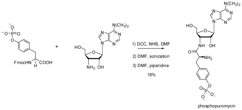 Scheme 2