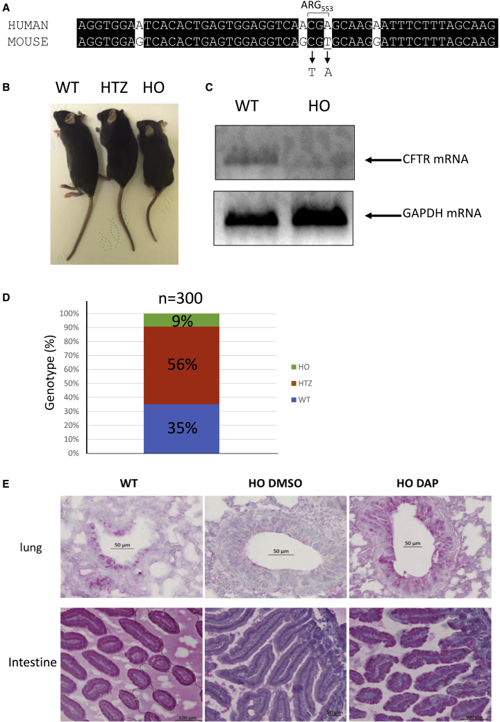 Figure 2