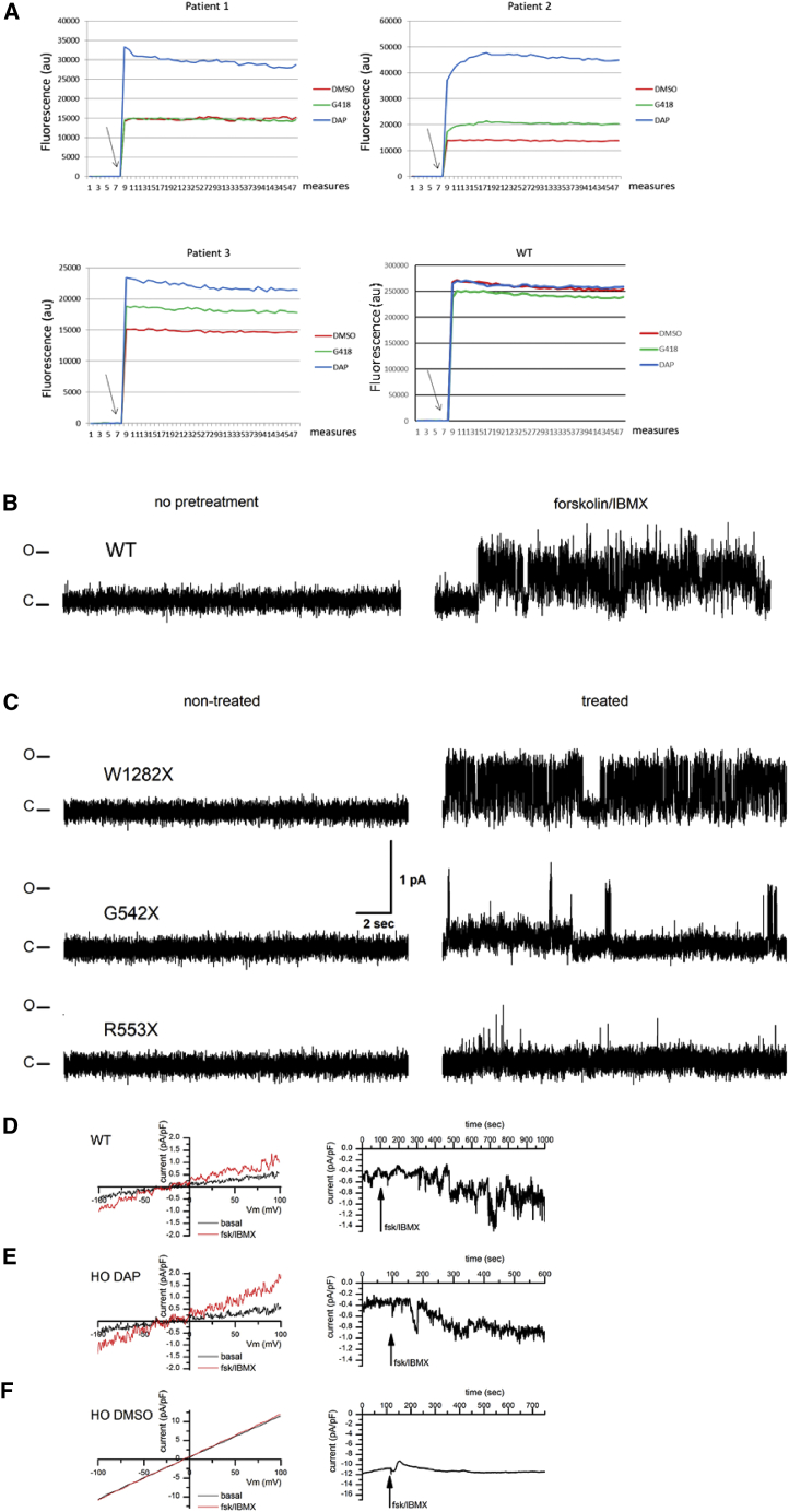 Figure 5