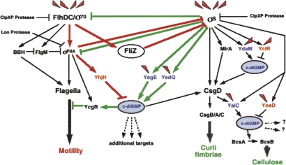 Figure 7.