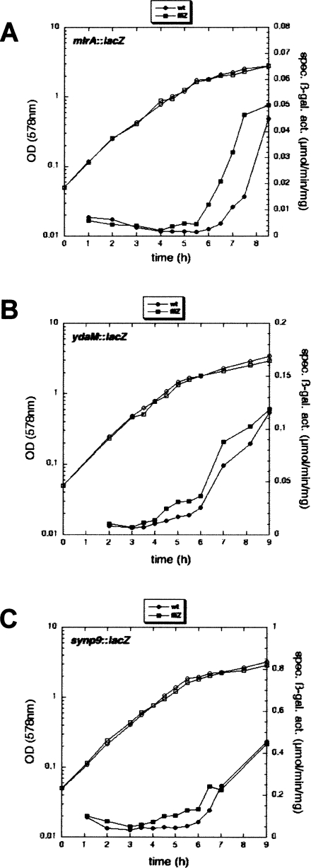 Figure 2.