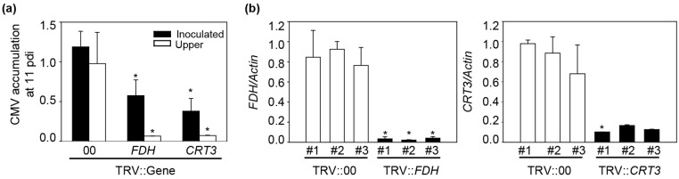 Fig 5