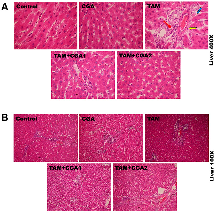 Figure 10