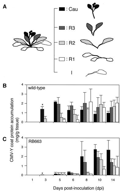 FIG. 1