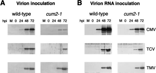 FIG. 5