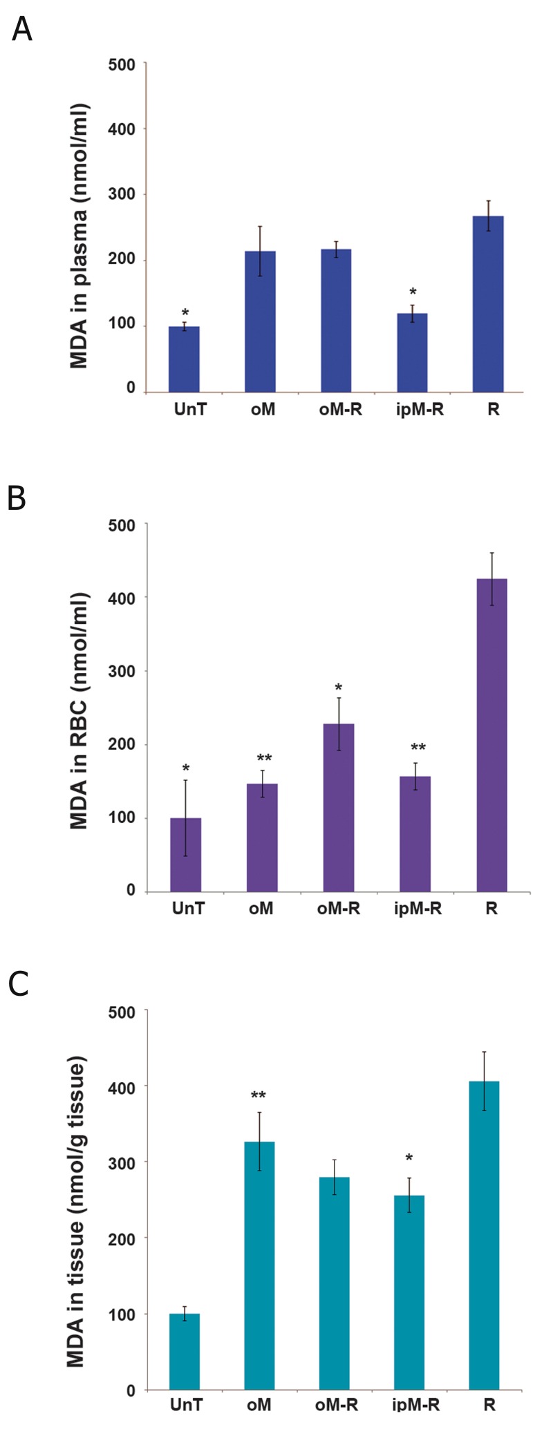 Fig.1