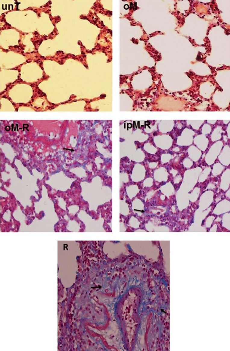 Fig.3