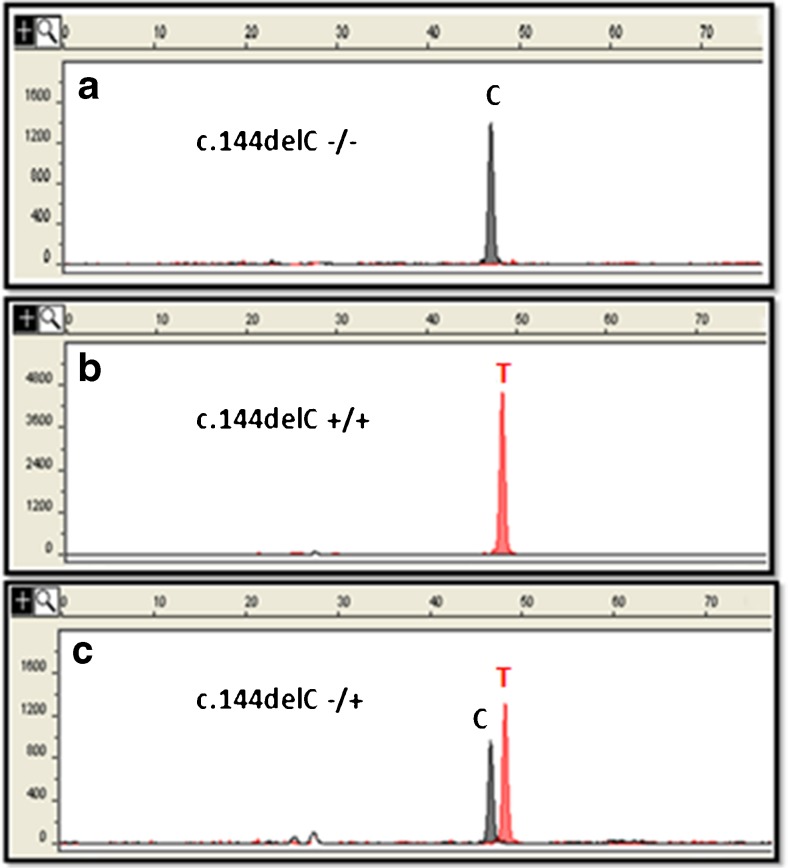 Fig. 3