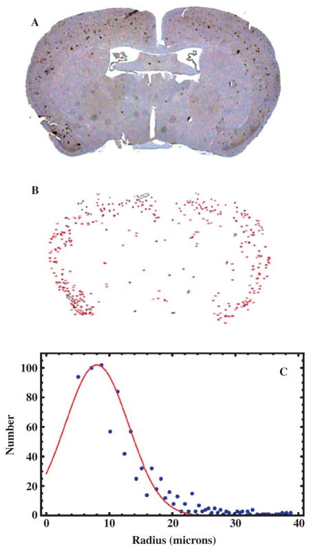 Fig. 2