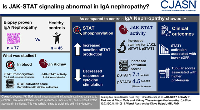 graphic file with name CJN.11010919absf1.jpg