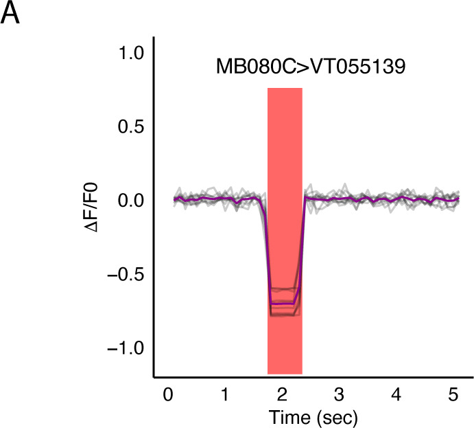 Figure 7—figure supplement 1.