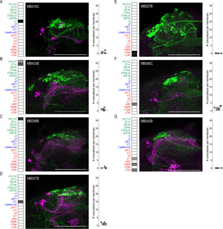 Figure 3—figure supplement 1.