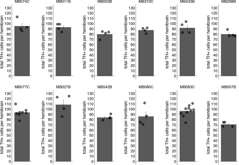 Figure 3—figure supplement 2.