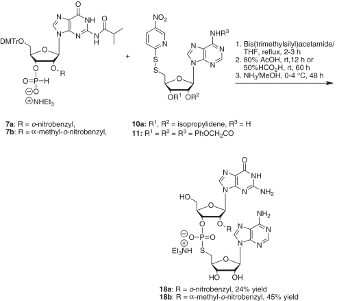 Scheme 6.