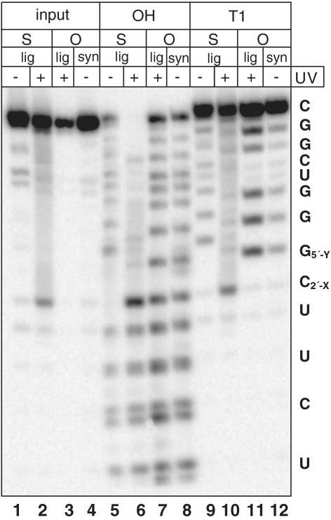 Figure 5.