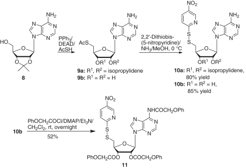 Scheme 4.