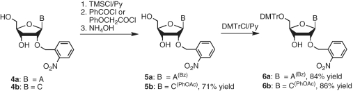 Scheme 2.