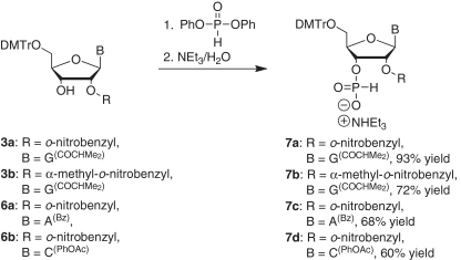 Scheme 3.