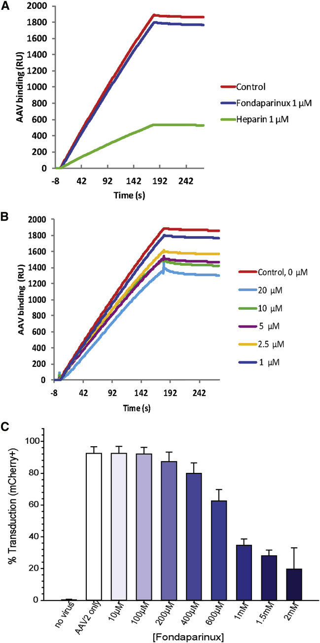 Figure 2