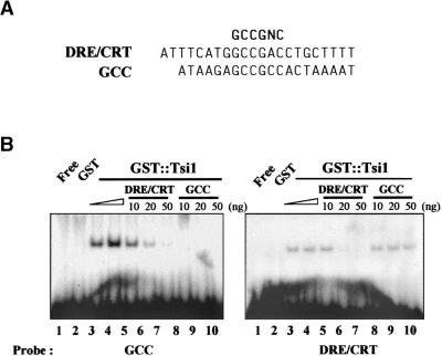 Figure 6.