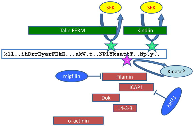 FIG 3