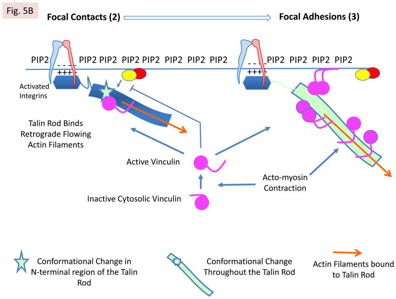 FIG 5