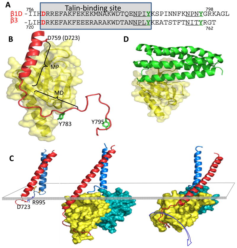 FIG 2