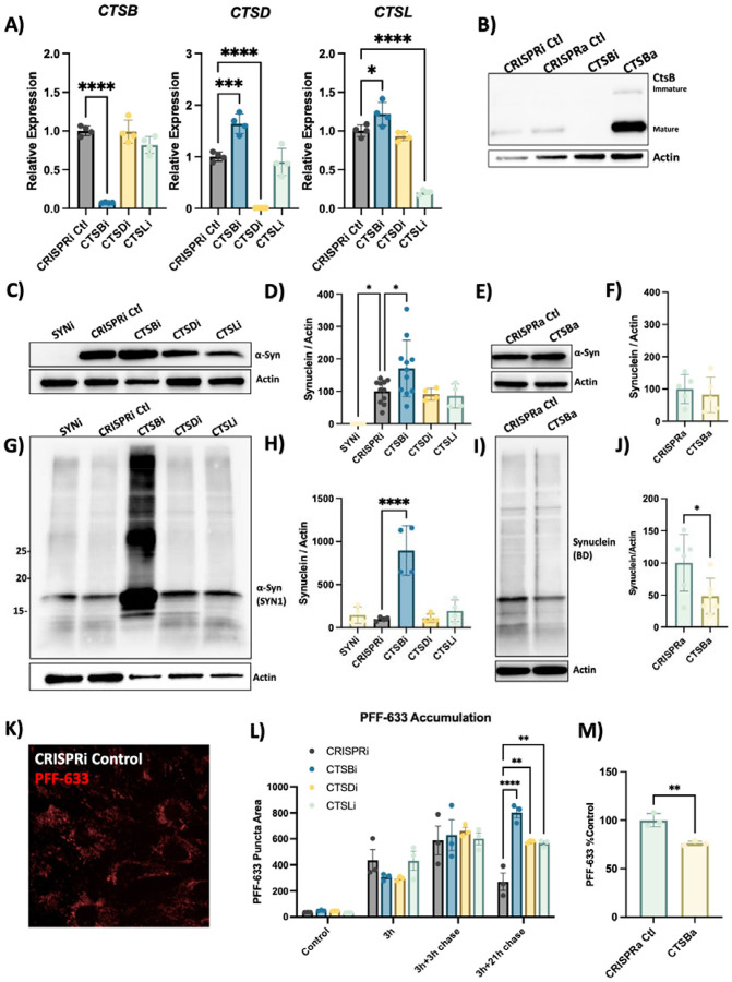 Figure 4: