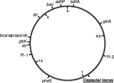 FIG. 2.