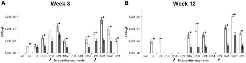 Fig 6