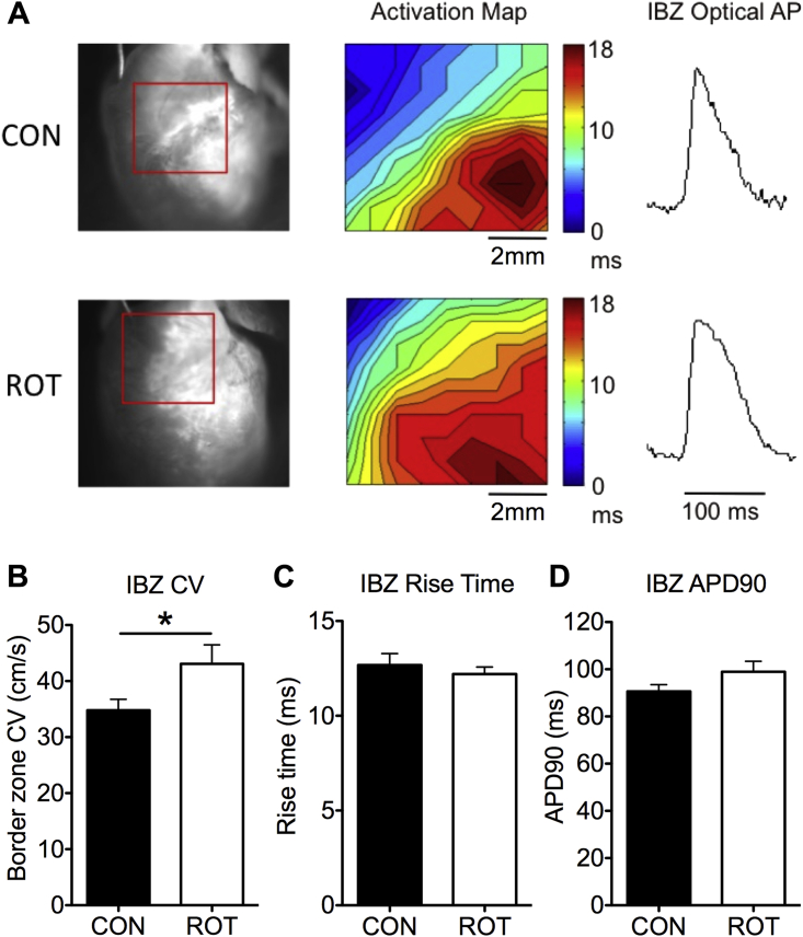 Figure 3