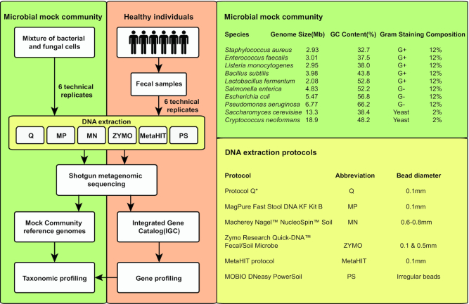 Figure 1: