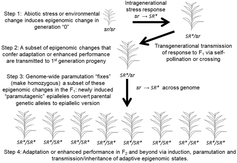 Figure 5