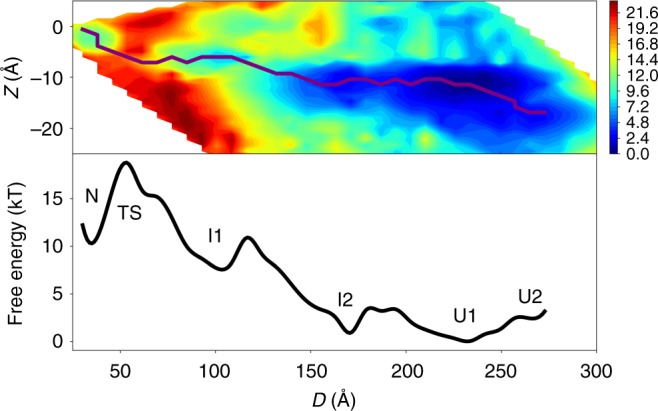 Fig. 3