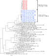 Fig. 4.