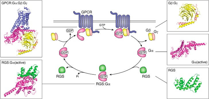 Figure 1.