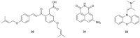 Scheme 4