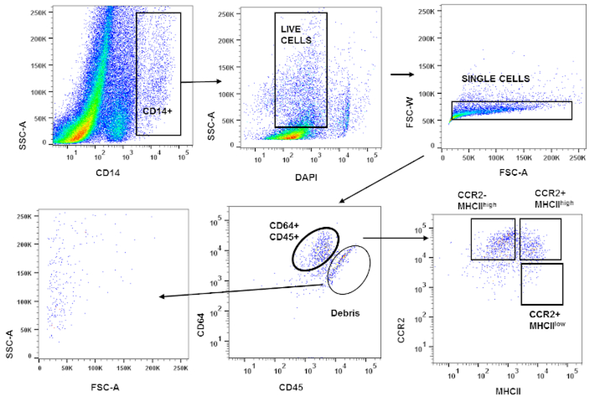 Figure 2: