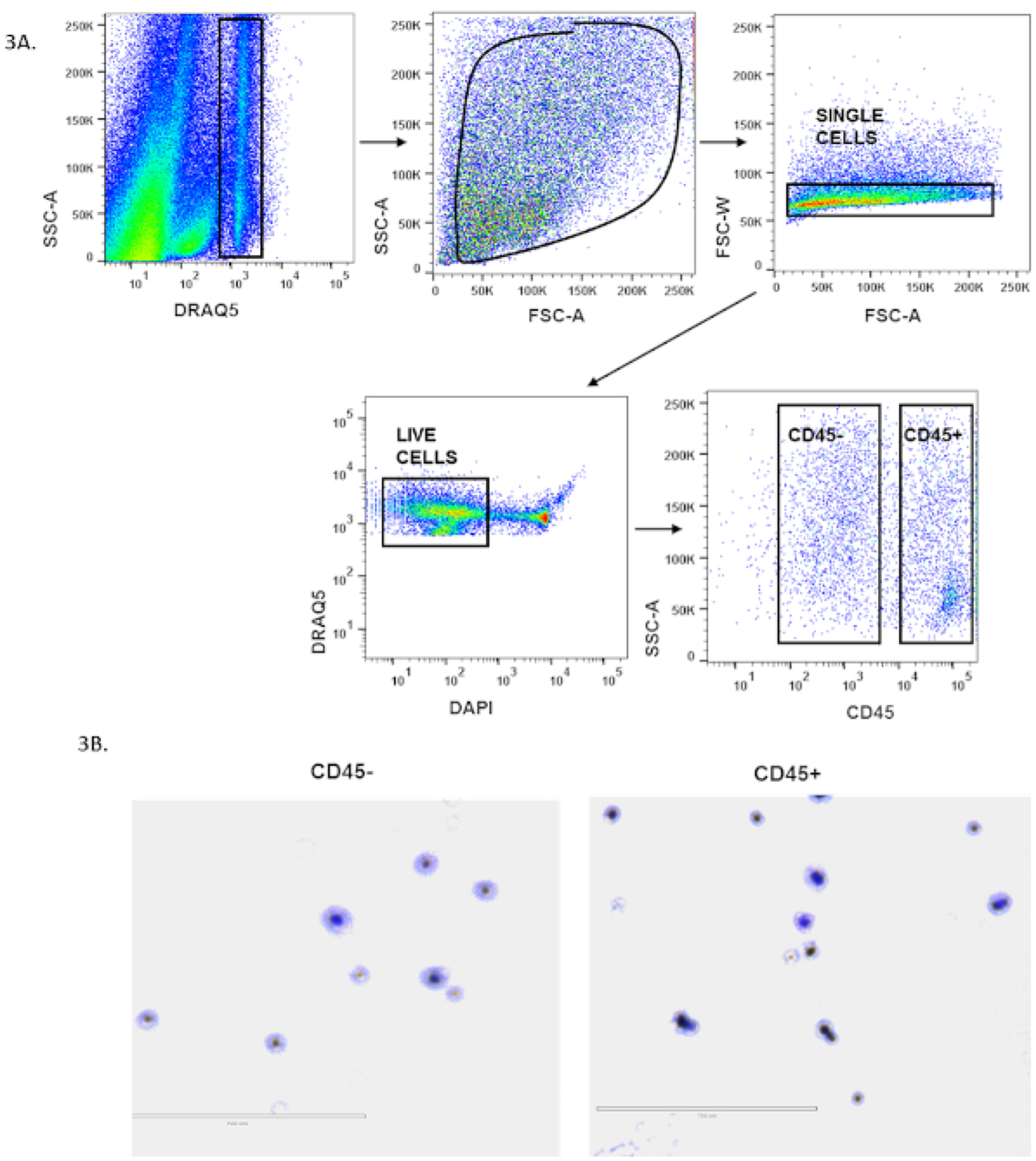 Figure 3: