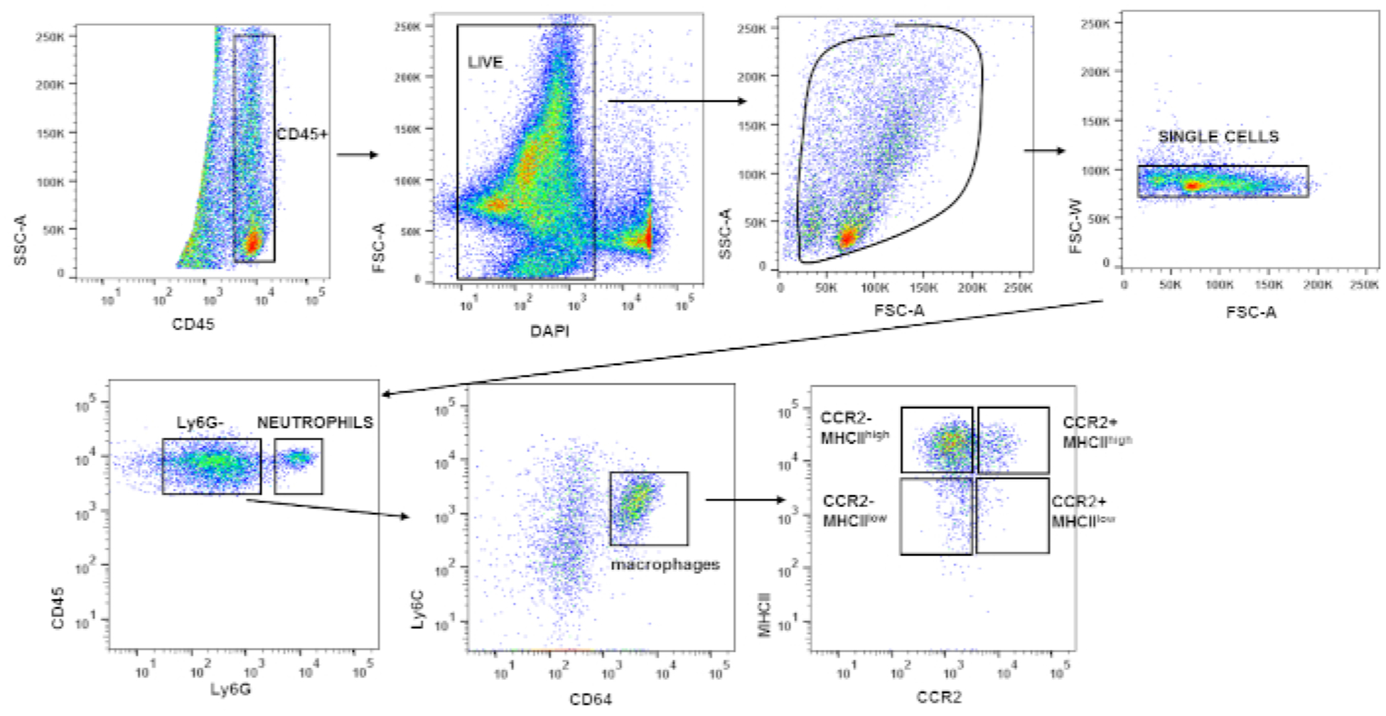 Figure 4: