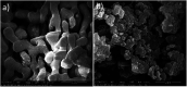 Fig. 13