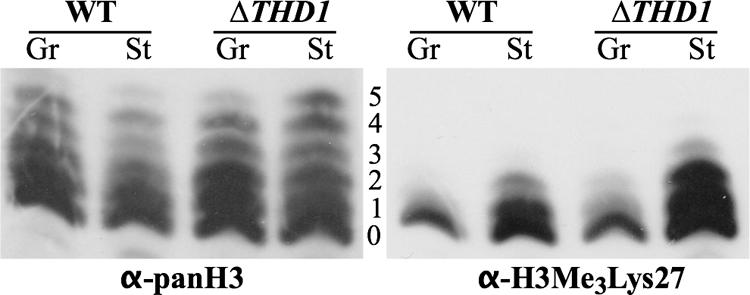 FIG. 5.