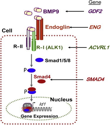 Figure 5