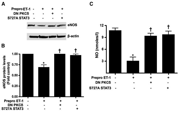 FIG. 7