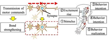 Fig. 1