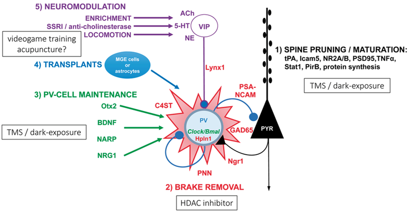 Fig. 2.