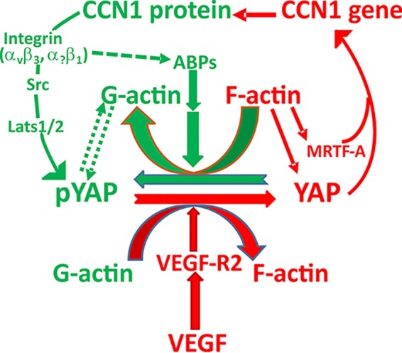 FIG 9